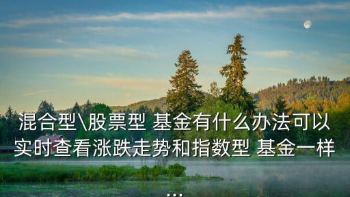 混合型\股票型 基金有什么辦法可以實時查看漲跌走勢和指數(shù)型 基金一樣...