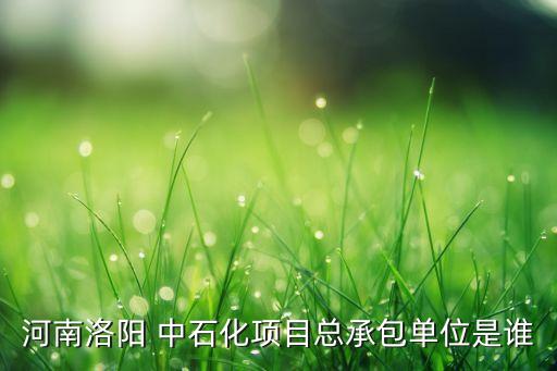 河南洛陽(yáng) 中石化項(xiàng)目總承包單位是誰(shuí)