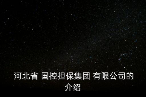  河北省 國控擔保集團 有限公司的介紹