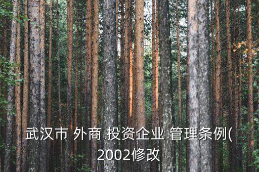 武漢市 外商 投資企業(yè) 管理條例(2002修改