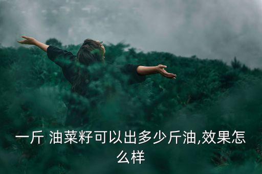 一斤 油菜籽可以出多少斤油,效果怎么樣