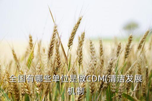 全國有哪些單位是做CDM(清潔發(fā)展機(jī)制