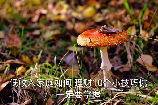 低投資理財,100元怎么投資理財