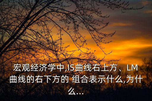 宏觀經(jīng)濟學中,IS曲線右上方、LM曲線的右下方的 組合表示什么,為什么...