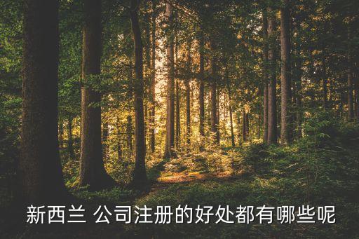 在新西蘭開公司,新西蘭開公司申請(qǐng)流程