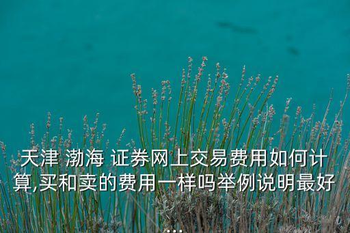 天津 渤海 證券網上交易費用如何計算,買和賣的費用一樣嗎舉例說明最好...