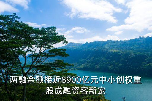 兩融余額接近8900億元中小創(chuàng)權重股成融資客新寵