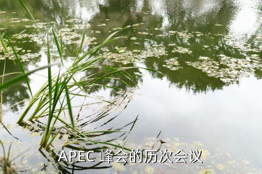 APEC 峰會的歷次會議