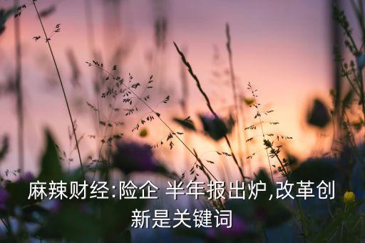 麻辣財經(jīng):險企 半年報出爐,改革創(chuàng)新是關(guān)鍵詞