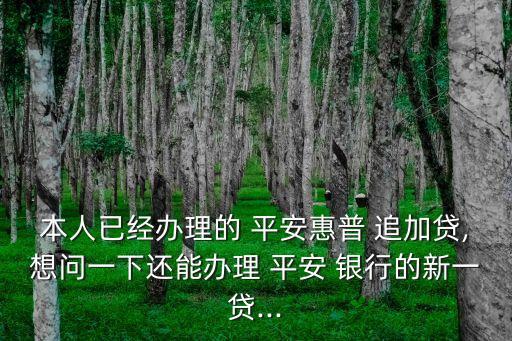 本人已經(jīng)辦理的 平安惠普 追加貸,想問一下還能辦理 平安 銀行的新一貸...