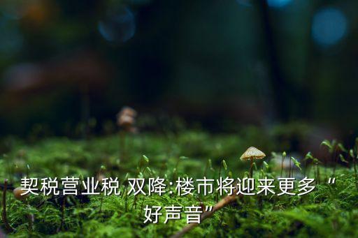 契稅營(yíng)業(yè)稅 雙降:樓市將迎來(lái)更多“好聲音”