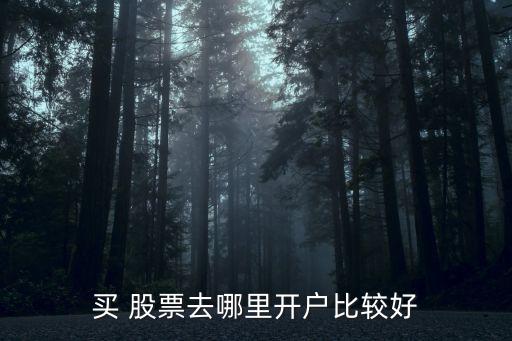 怎么網購股票,網購龍頭股票有哪些