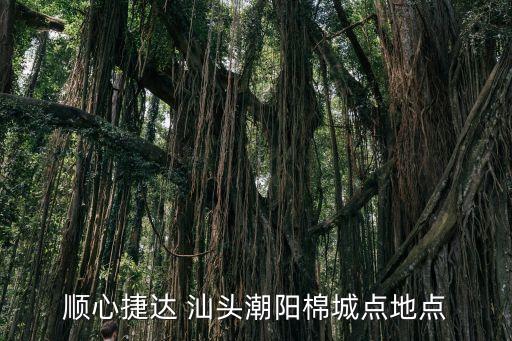 順心捷達(dá) 汕頭潮陽棉城點(diǎn)地點(diǎn)