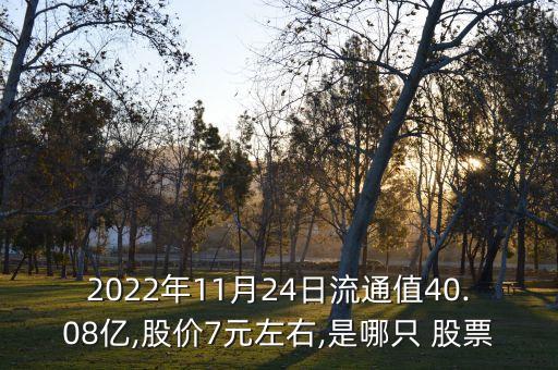 2022年11月24日流通值40.08億,股價7元左右,是哪只 股票