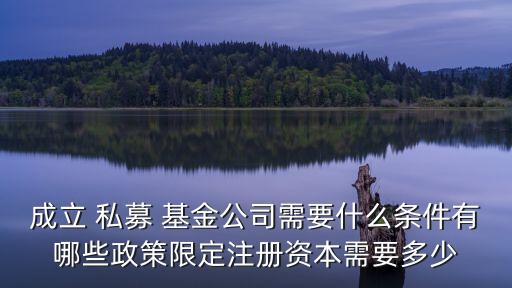 成立 私募 基金公司需要什么條件有哪些政策限定注冊(cè)資本需要多少