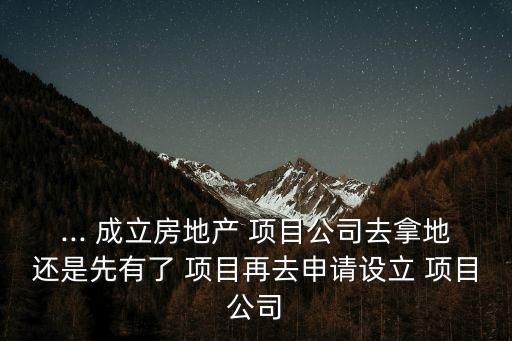 ... 成立房地產(chǎn) 項(xiàng)目公司去拿地還是先有了 項(xiàng)目再去申請(qǐng)?jiān)O(shè)立 項(xiàng)目公司