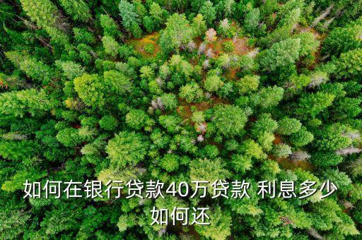 如何在銀行貸款40萬(wàn)貸款 利息多少如何還