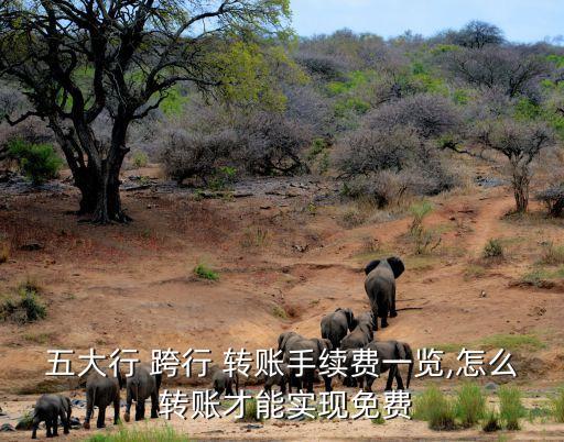 五大行 跨行 轉賬手續(xù)費一覽,怎么 轉賬才能實現(xiàn)免費