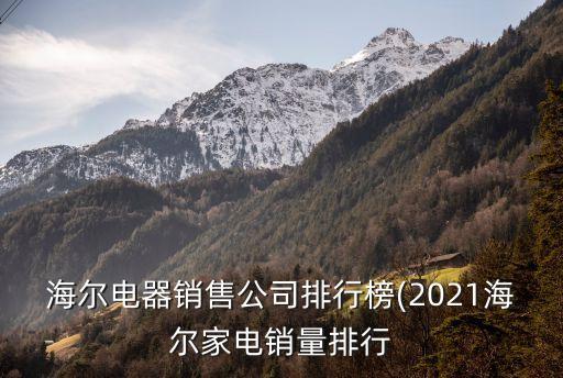 海爾電器銷(xiāo)售公司排行榜(2021海爾家電銷(xiāo)量排行