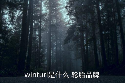 winturi是什么 輪胎品牌