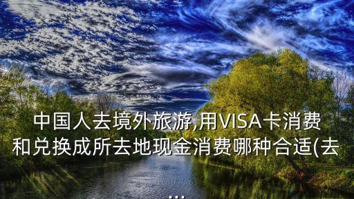 中國人去境外旅游,用VISA卡消費和兌換成所去地現(xiàn)金消費哪種合適(去...