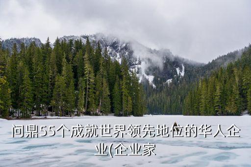 問(wèn)鼎55個(gè)成就世界領(lǐng)先地位的華人企業(yè)(企業(yè)家