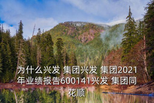 為什么興發(fā) 集團(tuán)興發(fā) 集團(tuán)2021年業(yè)績報(bào)告600141興發(fā) 集團(tuán)同花順