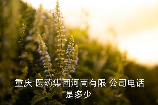  重慶 醫(yī)藥集團(tuán)河南有限 公司電話是多少