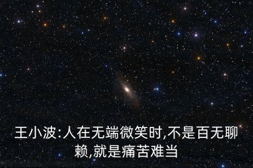 王小波:人在無端微笑時,不是百無聊賴,就是痛苦難當