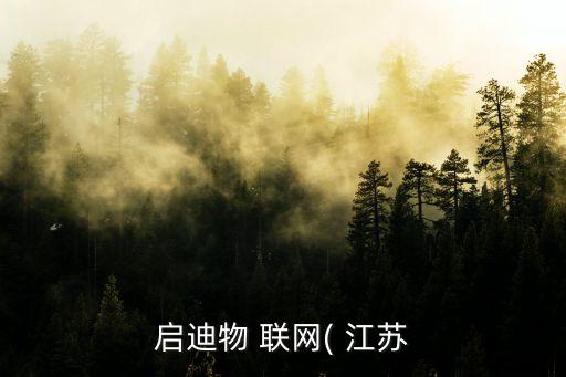 啟迪物 聯(lián)網(wǎng)( 江蘇