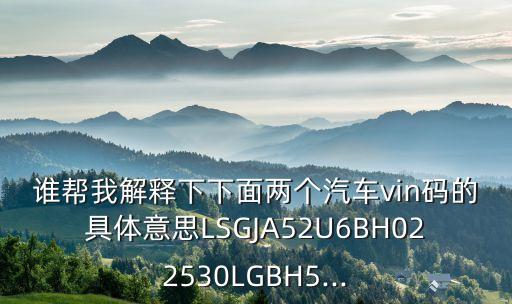 誰幫我解釋下下面兩個汽車vin碼的具體意思LSGJA52U6BH022530LGBH5...