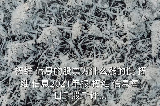  拓維 信息的股票為什么漲的慢 拓維 信息2021年報(bào) 拓維 信息每日千股千評(píng)...