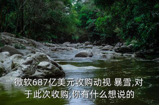 微軟687億美元收購(gòu)動(dòng)視 暴雪,對(duì)于此次收購(gòu),你有什么想說(shuō)的