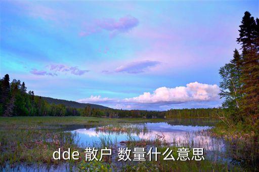 dde 散戶 數(shù)量什么意思