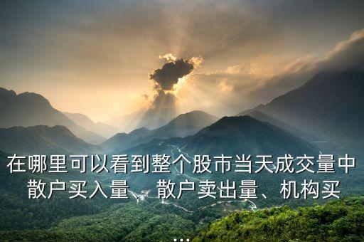 在哪里可以看到整個(gè)股市當(dāng)天成交量中 散戶買入量、 散戶賣出量、機(jī)構(gòu)買...