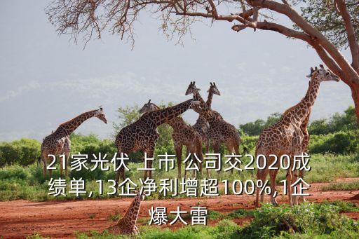 21家光伏 上市 公司交2020成績(jī)單,13企凈利增超100%,1企爆大雷