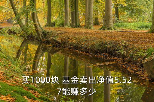 買(mǎi)1000塊 基金賣(mài)出凈值5.527能賺多少