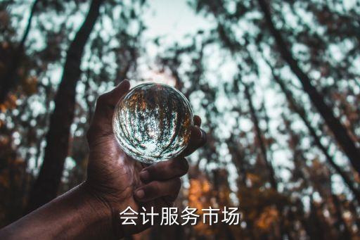 會(huì)計(jì)服務(wù)市場(chǎng)