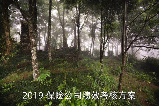 2019 保險(xiǎn)公司績(jī)效考核方案