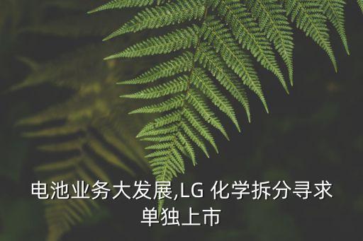 電池業(yè)務(wù)大發(fā)展,LG 化學(xué)拆分尋求單獨(dú)上市