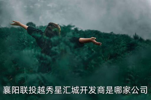 襄陽聯(lián)投越秀星匯城開發(fā)商是哪家公司