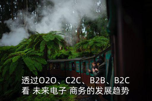 透過O2O、C2C、B2B、B2C看 未來電子 商務(wù)的發(fā)展趨勢