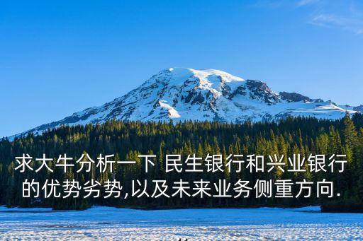 求大牛分析一下 民生銀行和興業(yè)銀行的優(yōu)勢劣勢,以及未來業(yè)務側重方向...