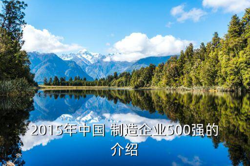 2015年中國 制造企業(yè)500強(qiáng)的介紹