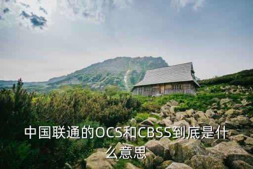 中國聯(lián)通的OCS和CBSS到底是什么意思