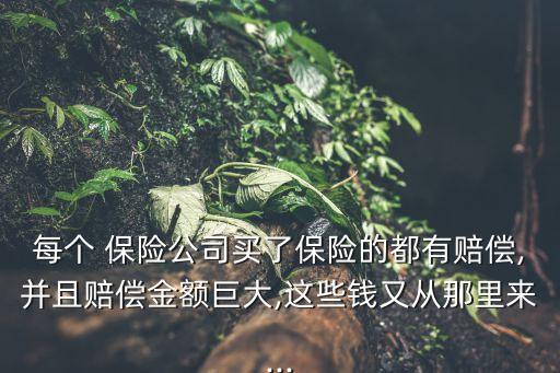 每個 保險公司買了保險的都有賠償,并且賠償金額巨大,這些錢又從那里來...