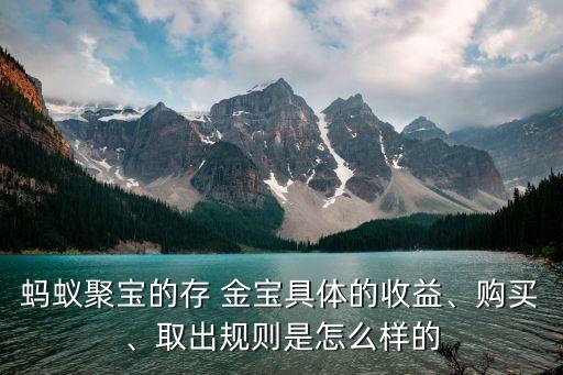 螞蟻聚寶的存 金寶具體的收益、購買、取出規(guī)則是怎么樣的