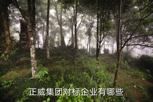 上海長運國際貿(mào)易有限公司,亞馬遜上海國際貿(mào)易有限公司