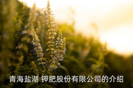 中國啟動對全球最大鉀肥生產(chǎn)商