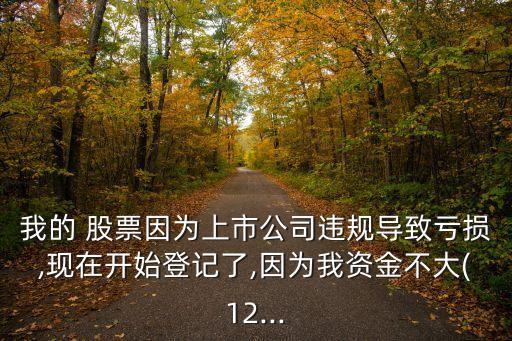 我的 股票因為上市公司違規(guī)導致虧損,現(xiàn)在開始登記了,因為我資金不大(12...